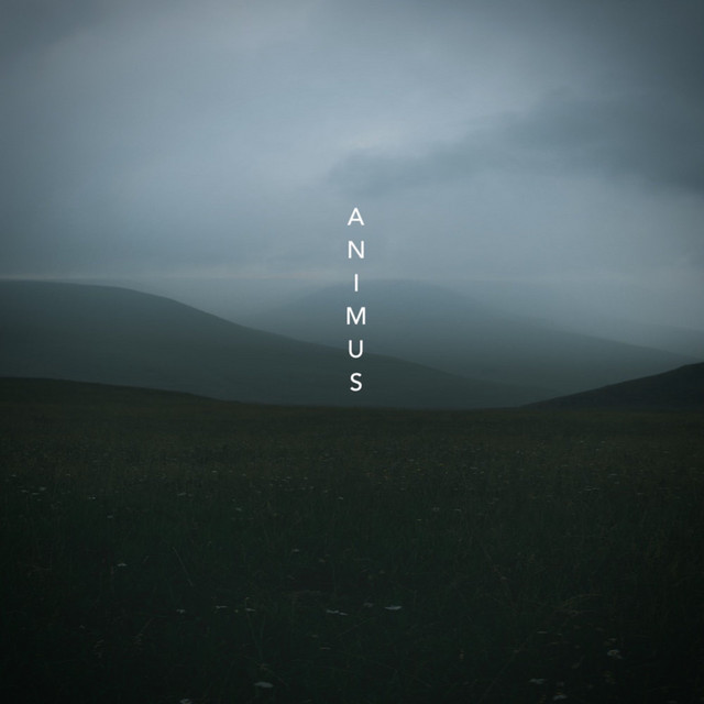 Animus cover art