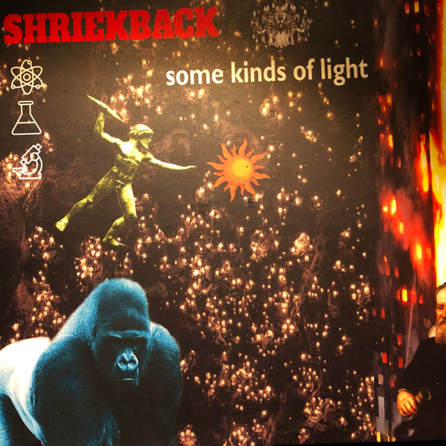 Some Kinds of Light cover art