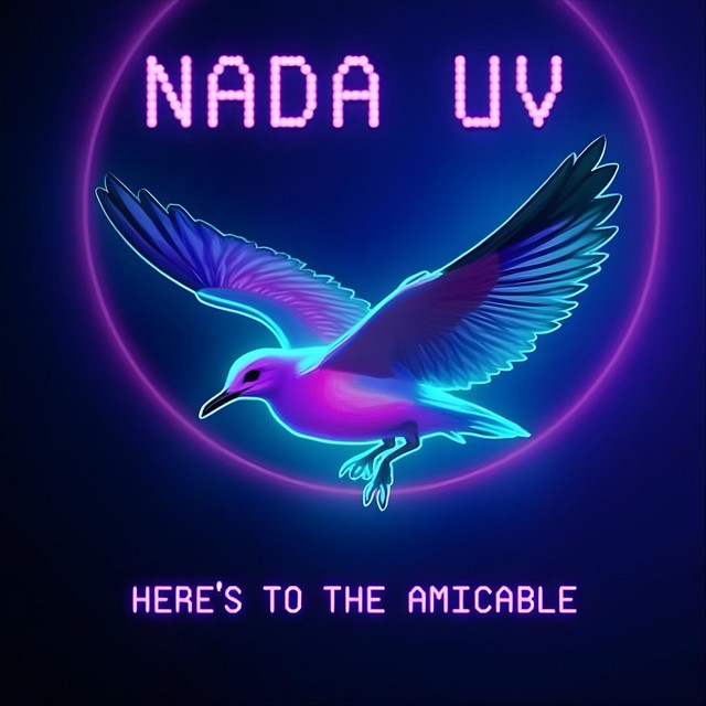 Album cover for Pity Breeds Contempt (Nobody Wears It Worse) by Nada UV