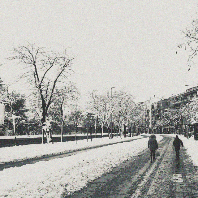 White winter cover