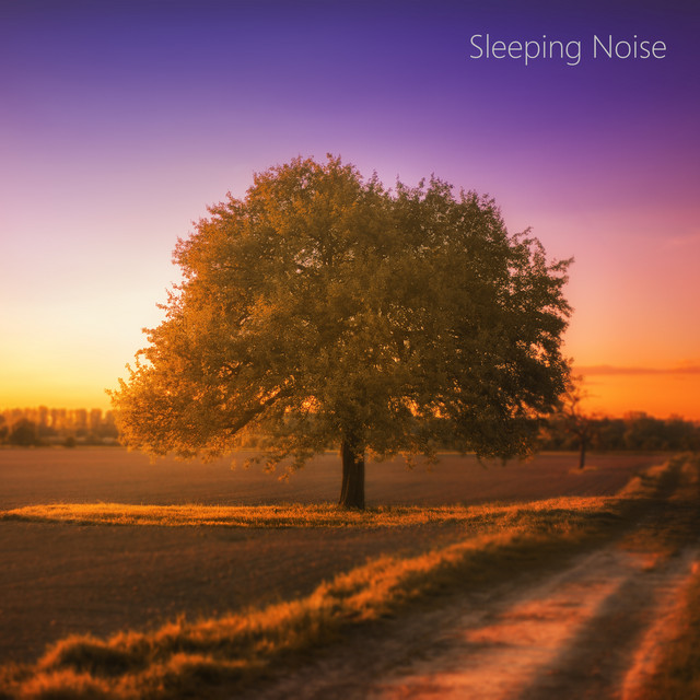 No Fade Noise for Babies. Infant Calming Noises. cover art