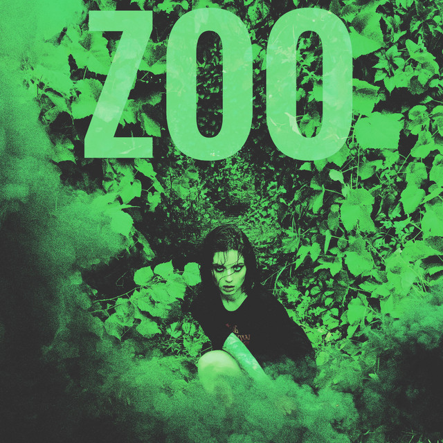 Обкладинка: zoo — tomaonet