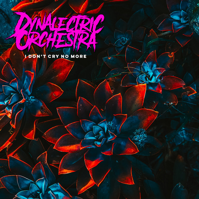 I Don't Cry No More - Single by Dynalectric Orchestra | Spotify