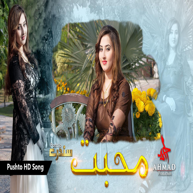 Muhabbat euo dase kar de - Single by Dil Raj | Spotify