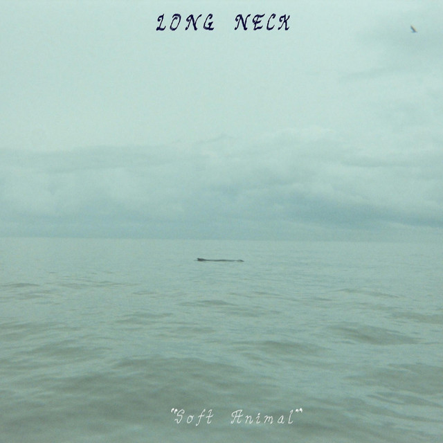 Soft Animal cover art