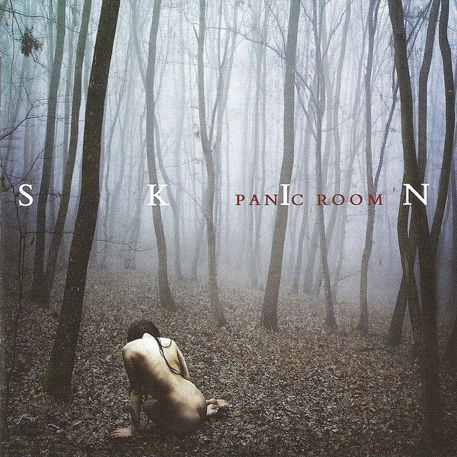 Skin cover art