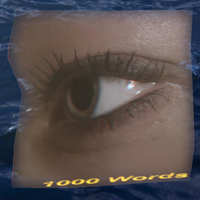 1000 Words cover