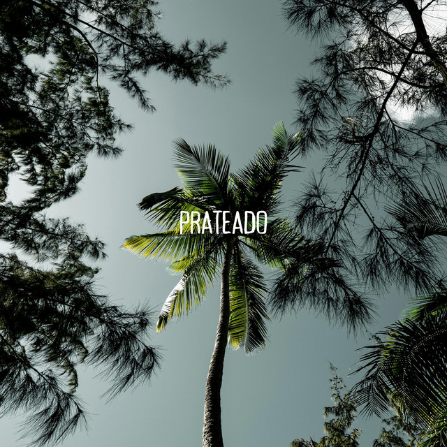 Prateado by Polysomni
