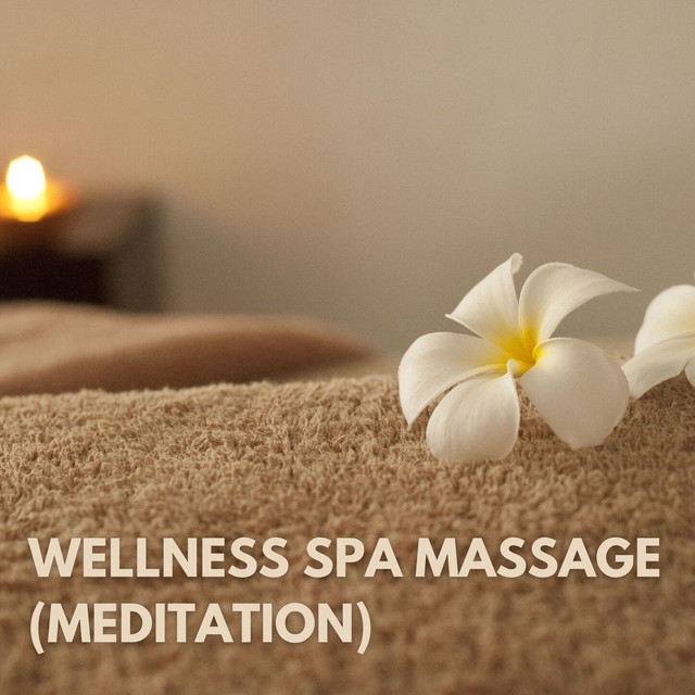Wellness Spa Massage (Meditation) cover art
