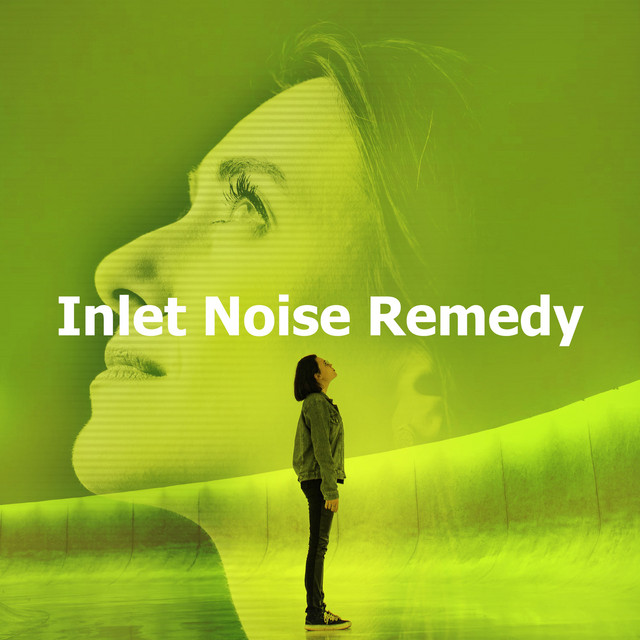 Inlet Noise Remedy cover art