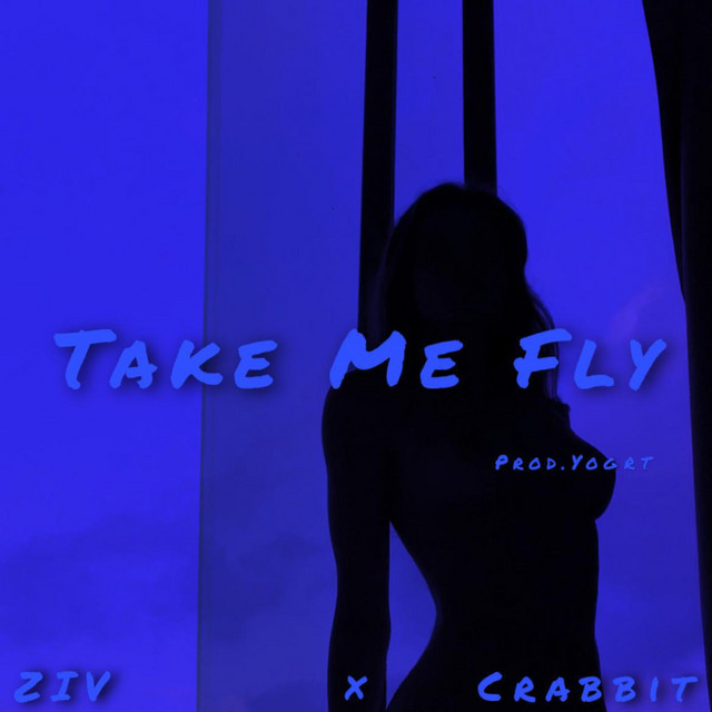 Take Me Fly - song and lyrics by Ziv, 马也_Crabbit, YOGRT | Spotify