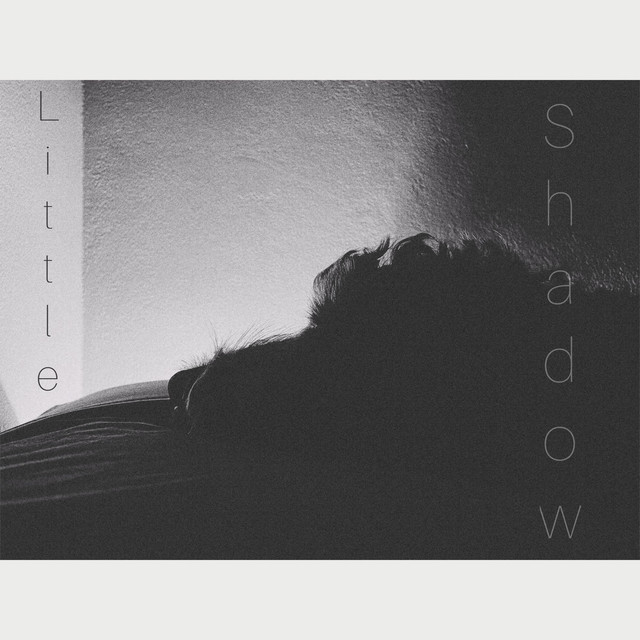 Little Shadow cover art