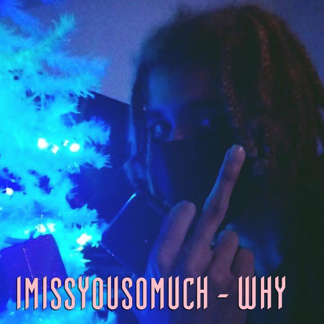 WHY cover art