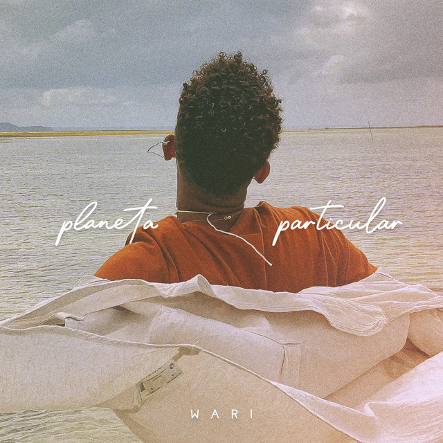 Planeta Particular cover art