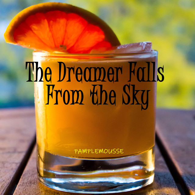 The Dreamer Falls From the Sky cover