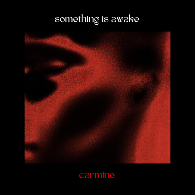 Something Is Awake cover art