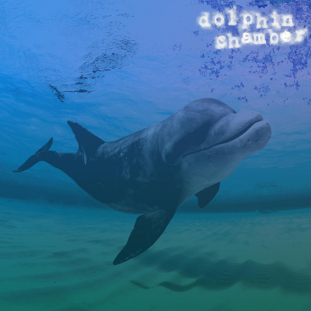 Dolphin Chamber cover art