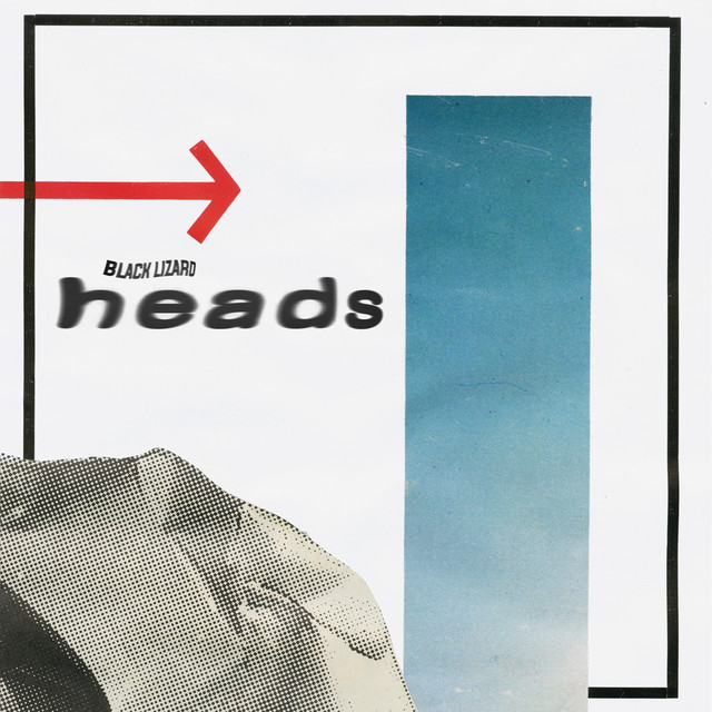 Heads cover