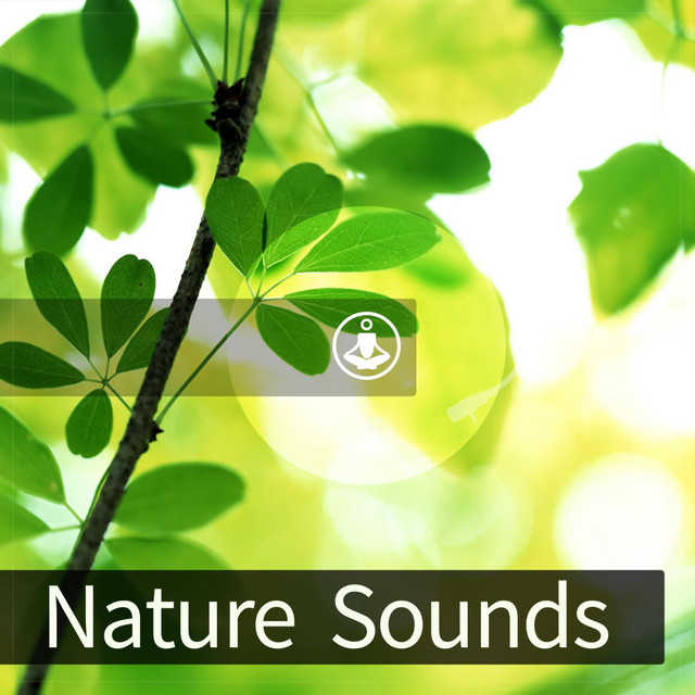 Nature Sounds cover art