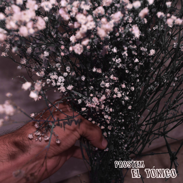 El Tóxico cover art