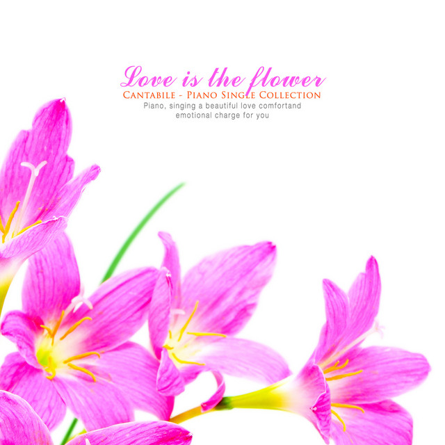 Love is a flower