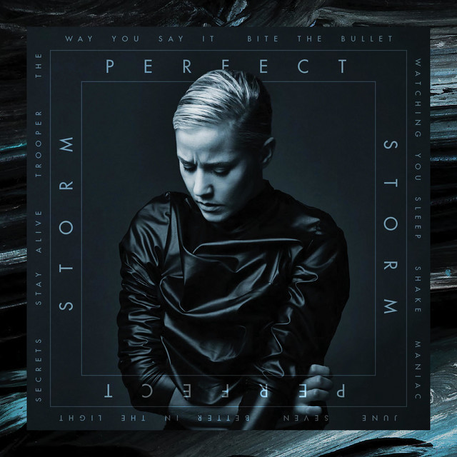 Perfect Storm cover art