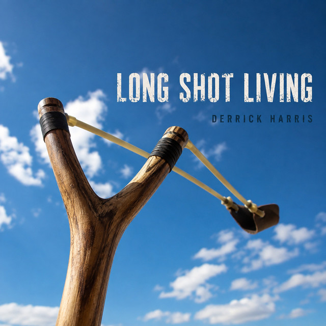 Long Shot Living cover