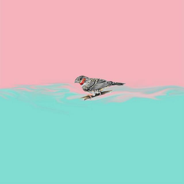 Owls cover art