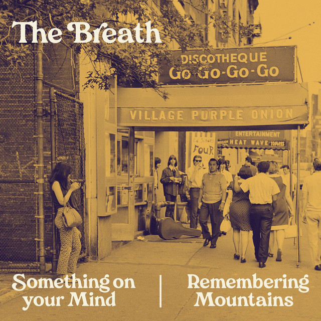 Something On Your Mind / Remembering Mountains