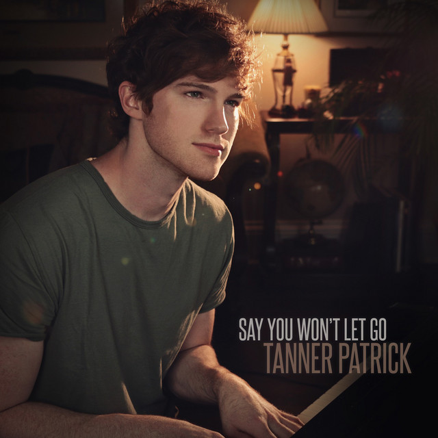Say You Won't Let Go cover
