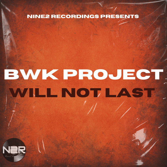 Will Not Last album art