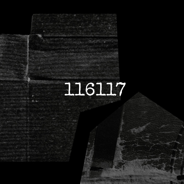116117