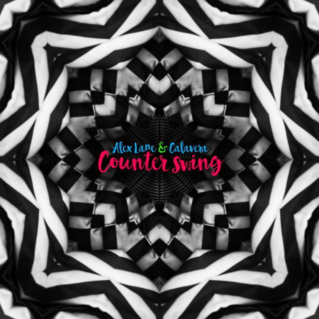 Counter Swing cover