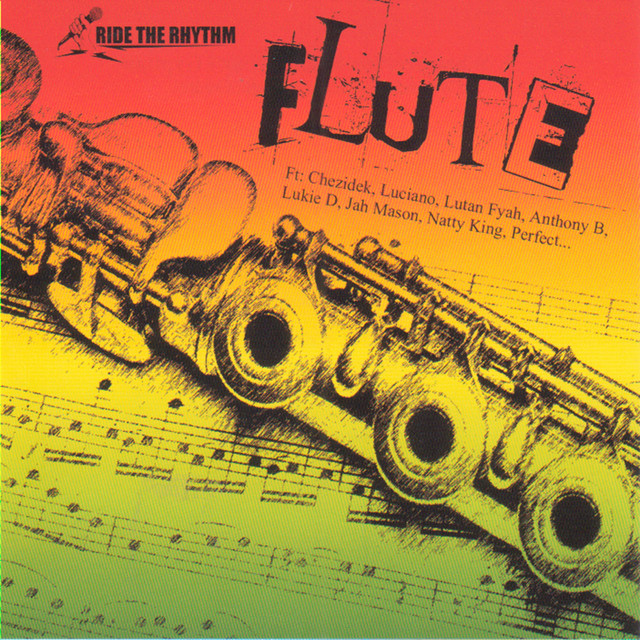 Flute cover