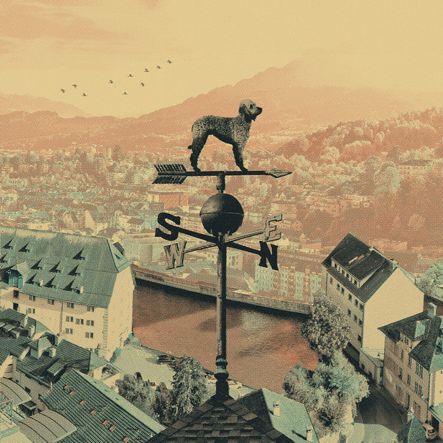 Weathervane cover art