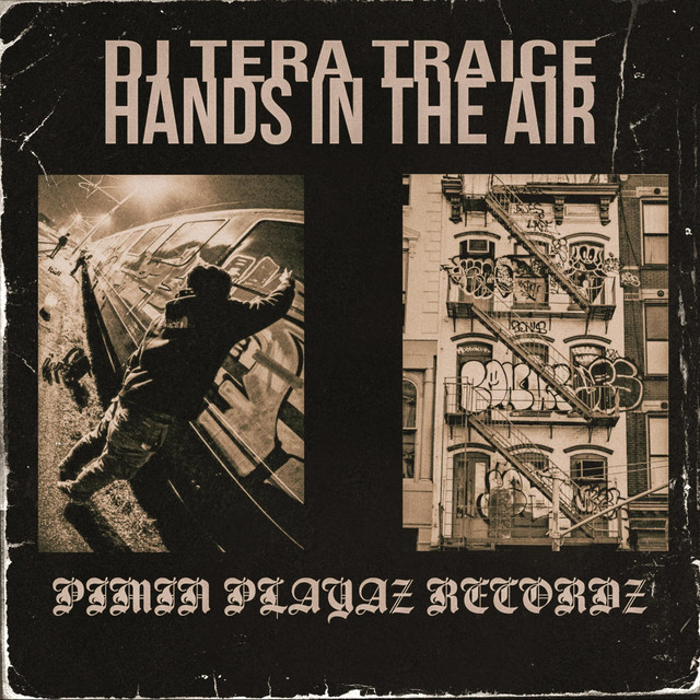 Cover art: HANDS IN THE AIR — DJ TERA TRAICE