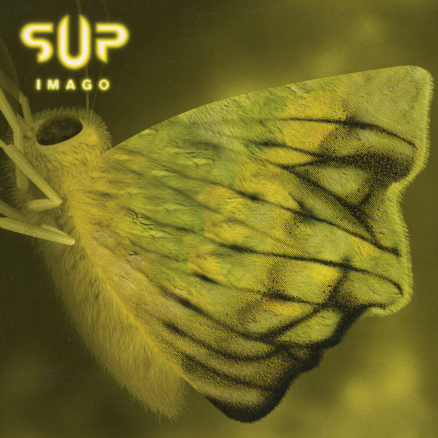 Imago cover art