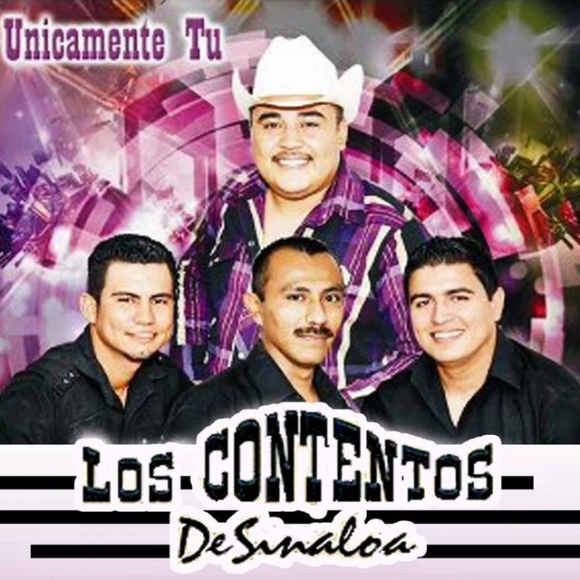 Despedida - song and lyrics by Los Contentos De Sinaloa | Spotify