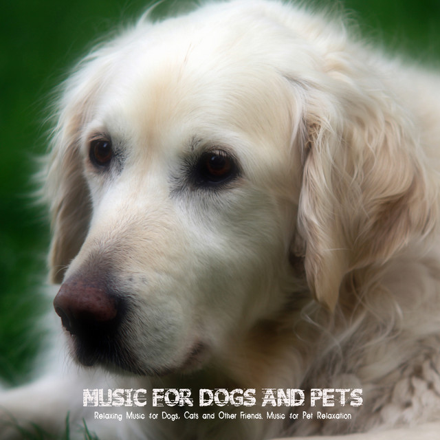 Music for Dogs and Pets - Relaxing Music for Dogs, Cats and Other Friends cover art