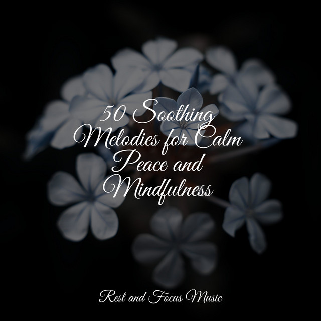 50 Soothing Melodies for Calm Peace and Mindfulness - Album by Deep ...