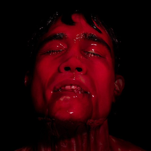 The Hunger cover art