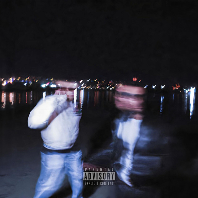 ENTEGRASYON cover art