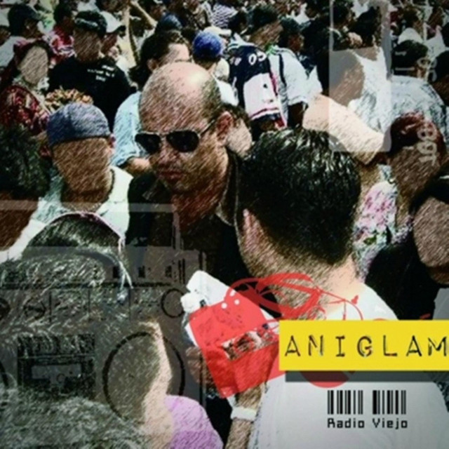 Aniglam cover