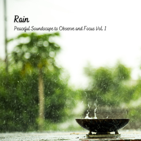 Rain: Peaceful Soundscape to Observe and Focus Vol. 1 cover art