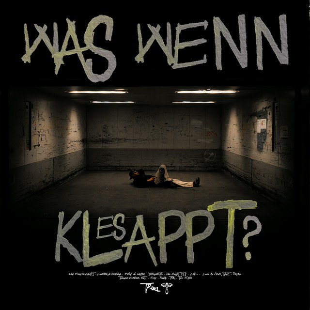 WAS WENN ES KLAPPT? cover art
