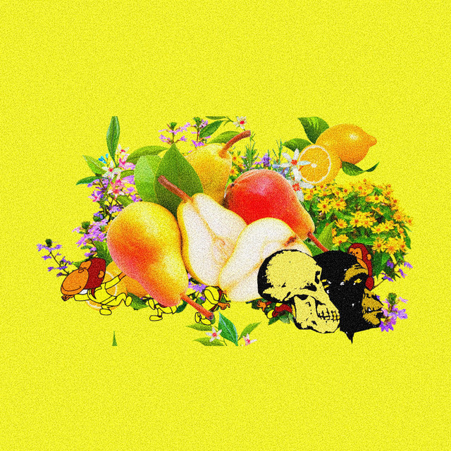 apes. cover art