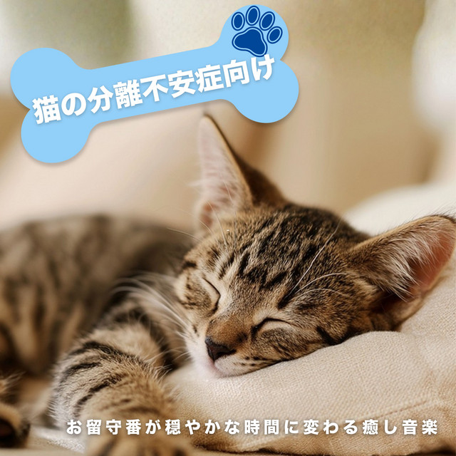 Soothing music for cats with separation anxiety - transforming time spent alone into a peaceful experience. cover art