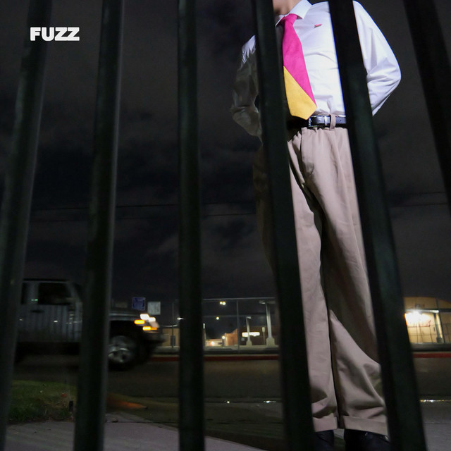 FUZZ cover art