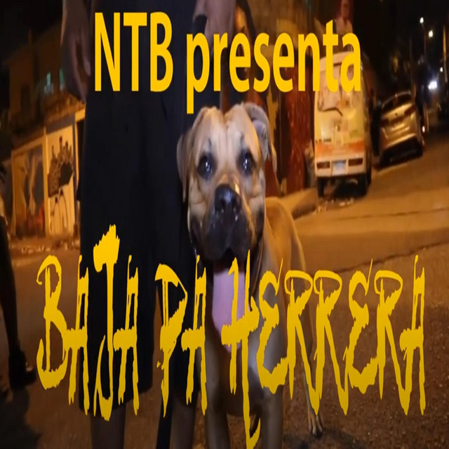 BAJA PA HERRERA