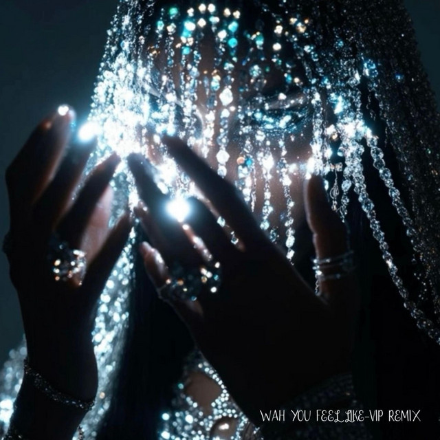 Wah You Feel Like? The VIP Remix